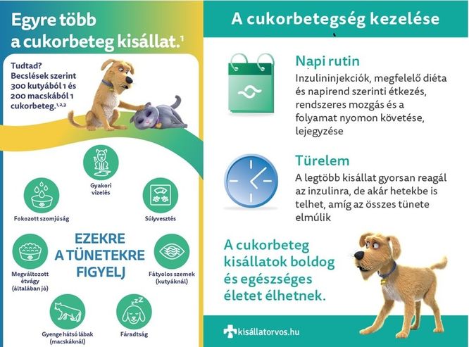 cukorbetegség kezelésére történetek